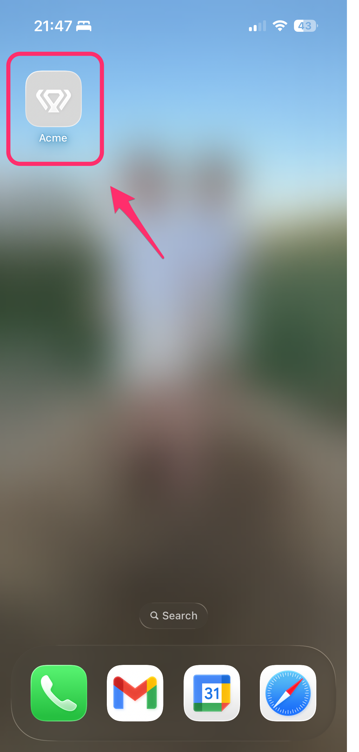 Icône d’application installée sur l’écran d’accueil de l’iPhone